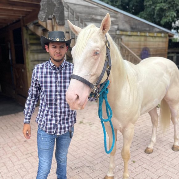 LIVSTAK WESTERN COWBOY, BLACK HAT, 100% LEATHER, Size L, S1LVK01, BALLER - Picture 4 of 12